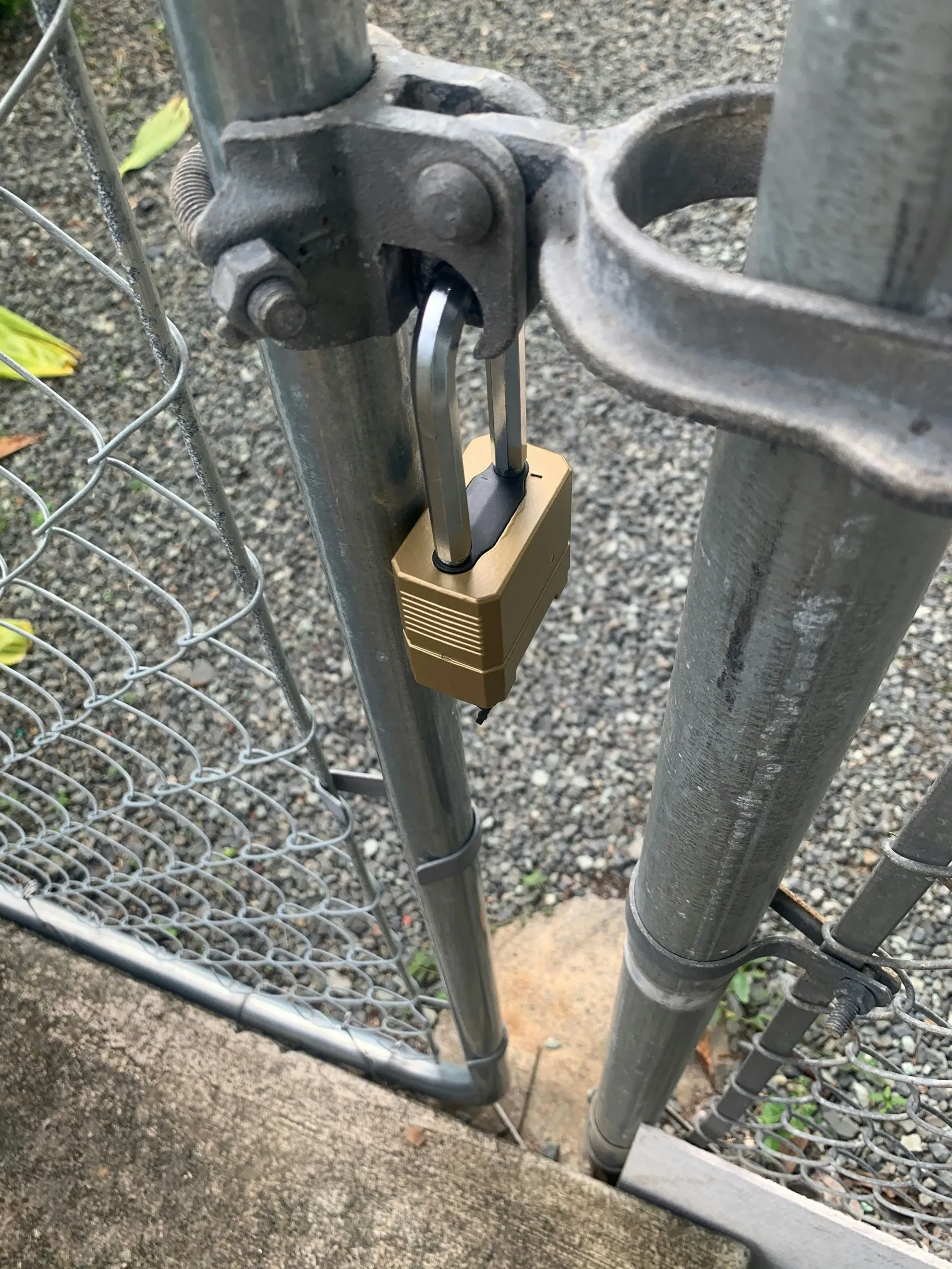 A close-up of a gold padlock on a chain-link fence gate.